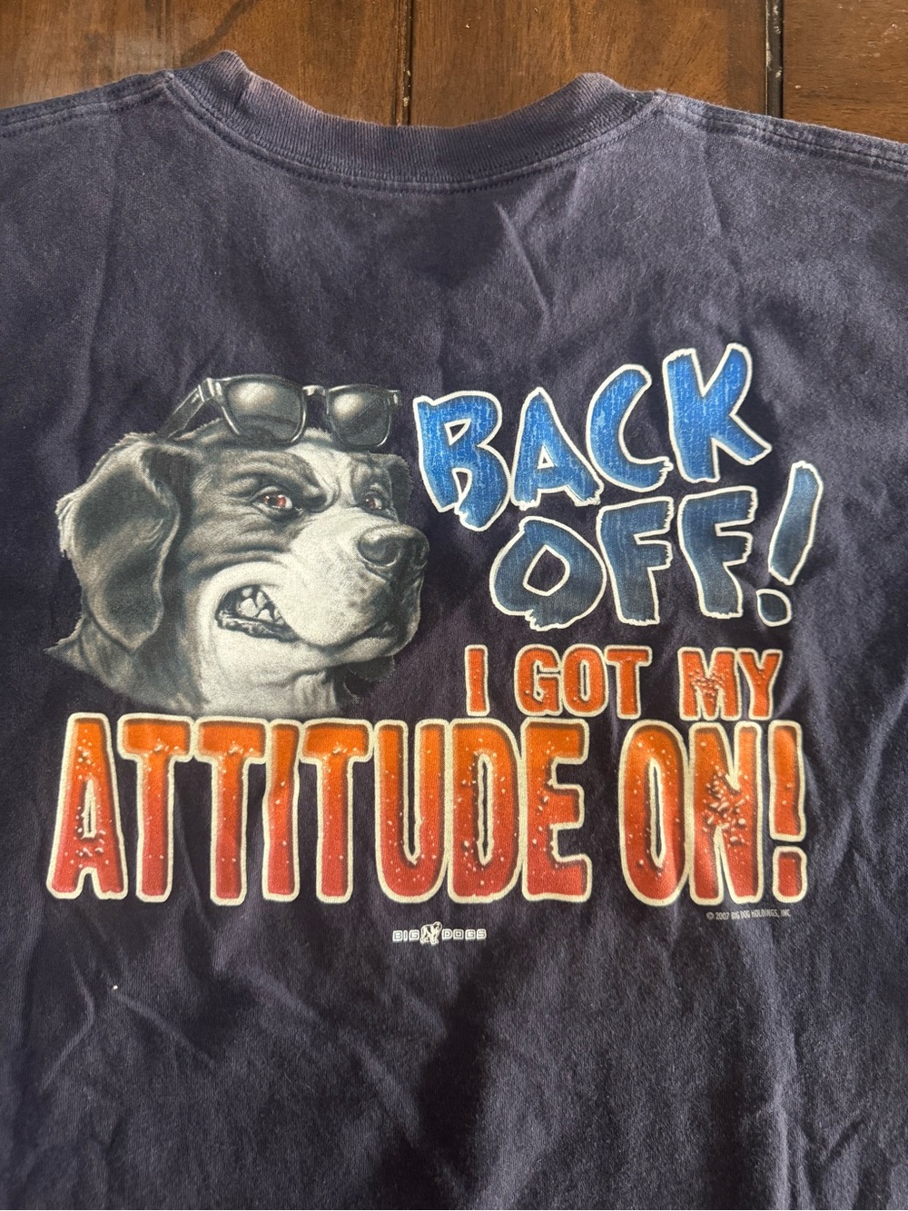 Santa Barbra Big Dogs Y2K 2007 Vintage Tee - Navy with Orange & Blue Print